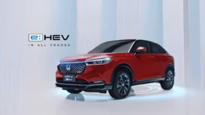 Indian Car Market