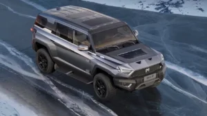 Price and Value: Is the Mangshi 917 Worth ₹85 Lakhs?